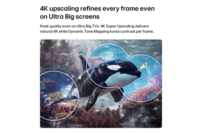 Een LG QNED evo AI QNED70 Mini LED met 4K Super Opschalen en Dynamic Tone Mapping toont een onderwaterscène van een zeeleeuw, terwijl AI elk frame herkent en opschaalt tot een resolutie van 4K.